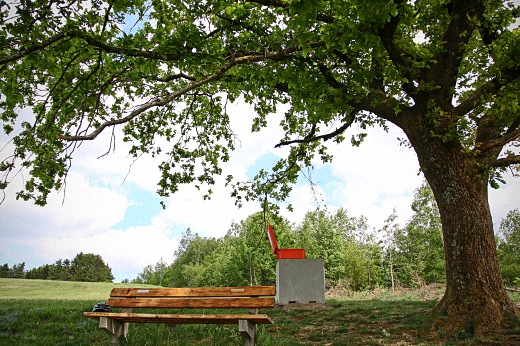 Wunschkiste am Zauberbaum