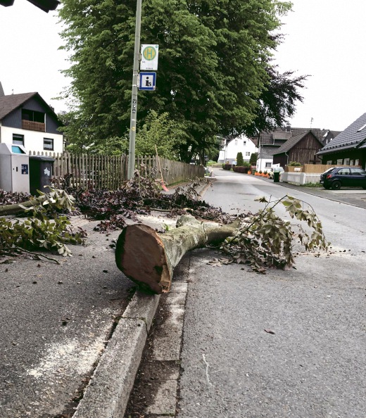 Bushaltestelle Wildberg